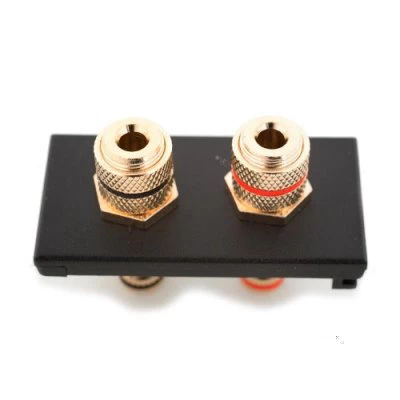 Speaker Module (2 Binding Posts) Speaker Socket Module