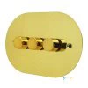 Disc Polished Brass LED Dimmer and Push Light Switch Combination - 1