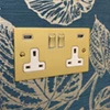 Elite Flat Polished Brass Plug Socket with USB Charging - 1