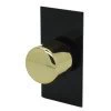 LED Dimmer Module - Black | Polished Brass : 10-100W
