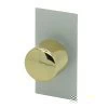 LED Dimmer Module 10-100W : White | Polished Brass.
