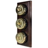 3 Fluted Polished Brass Dome Switches on Vertical Wooden Pattress