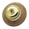 Polished Brass - Dome Switch Only with No Pattress